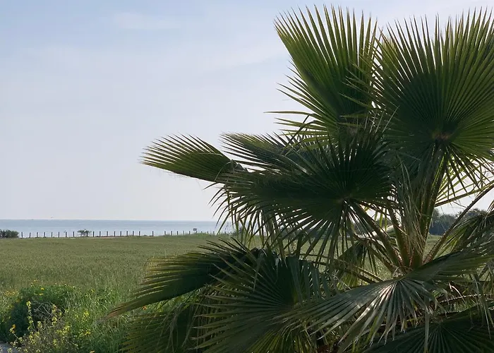 Sunset Sea View * أيا نابا